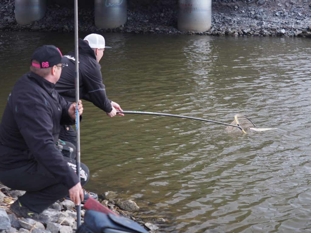 Kalan haavitseminen Street Fishing-kilpailussa