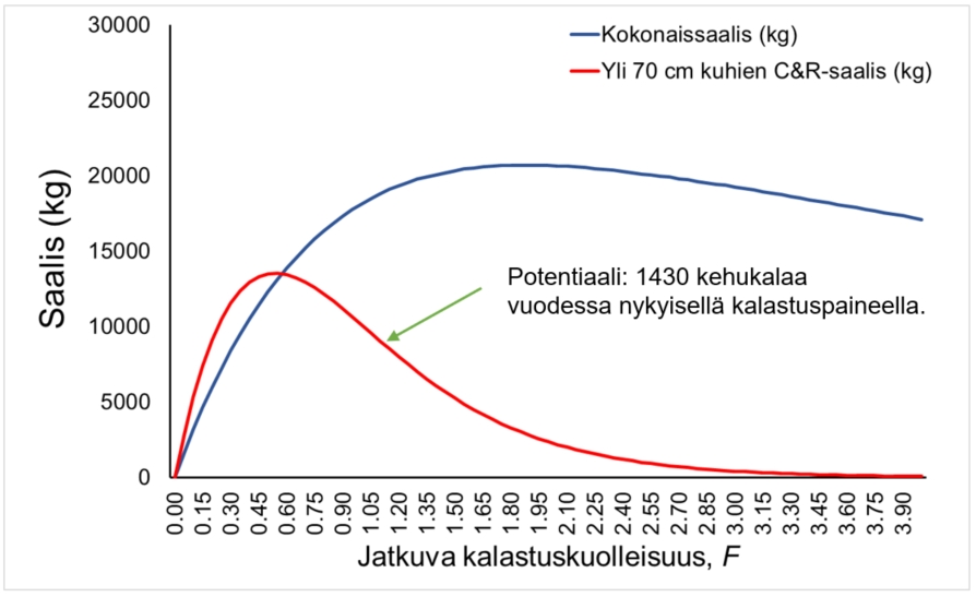 Kuva 2. Teoreettinen esimerkki Lahden Vesijärven kuhasaaliin määrästä ja yli 70 cm kuhien saaliista suhteessa kalastuskuolleisuuteen, kun käytetään 45 cm – 60 cm välimittaa. Kuva perustuu Vainikan ym. (2017) kuhamalliin.