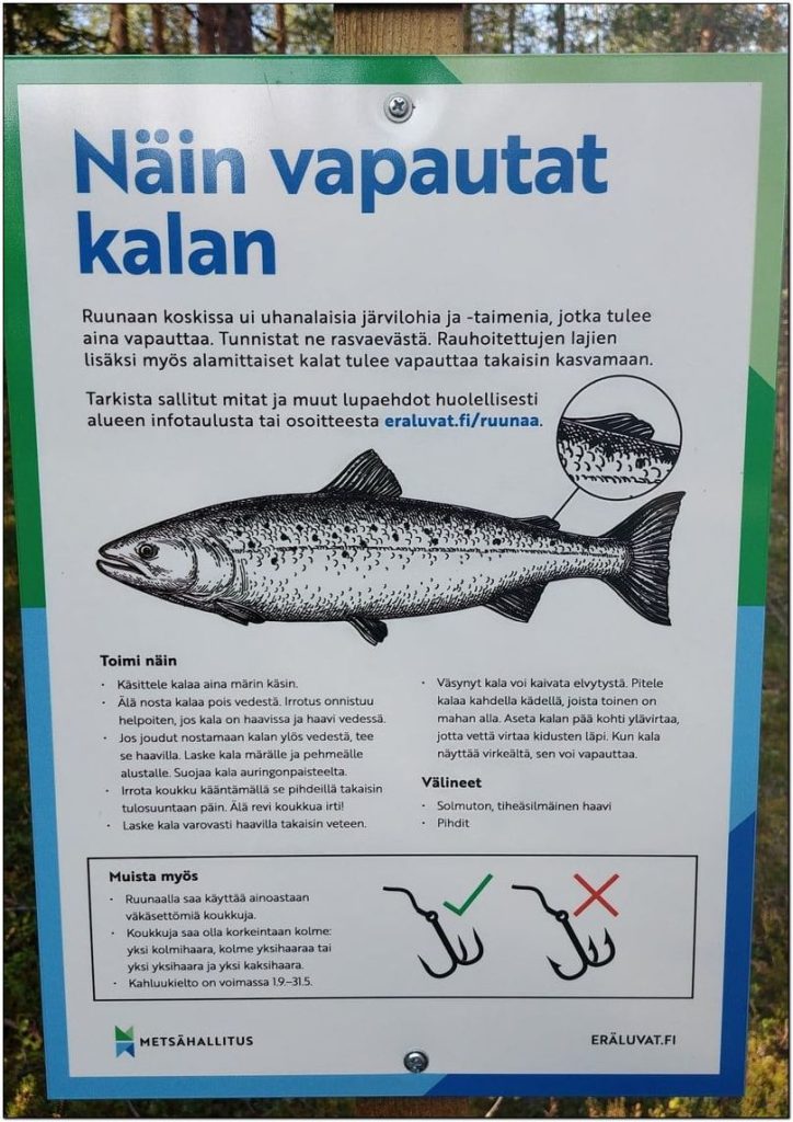 Näin vapautat kalan