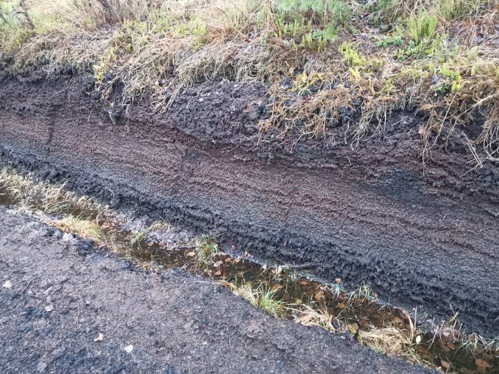 Turve aiheuttaa veistöihin päätyessään monelaisia ongelmia